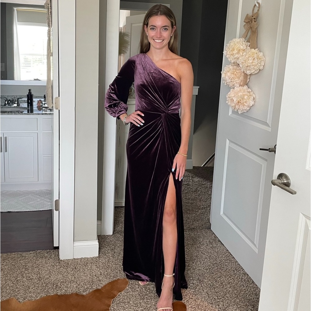 Revelry Aurora Velvet Dress